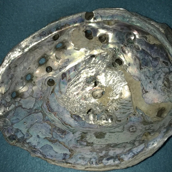 ABALONE shell Pacific Ocean 8 1/2 X 7 - Picture 4 of 7